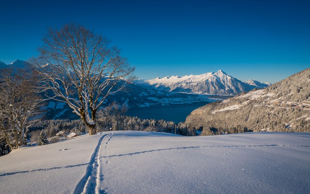 Spur im Schnee mit Blick auf den Niesen